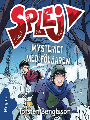 cover image of Mysteriet med följaren